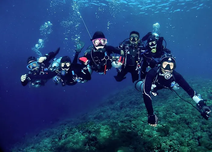 Sugarsea & Dive Shop