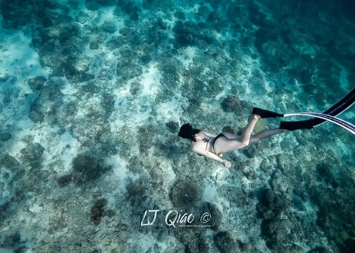 Sugarsea & Dive Shop